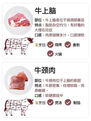 牛肉哪个部位最有营养,牛肉哪里最营养价值高-第2张图片-厨房小当家 牛肉哪个部位最有营养,牛肉哪里最营养价值高-第2张图片-厨房小当家