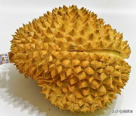 榴莲应该吃哪里(榴莲应该吃哪里的肉)-第2张图片-厨房小当家 榴莲应该吃哪里(榴莲应该吃哪里的肉)-第2张图片-厨房小当家