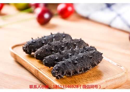 天津哪里买海参(天津哪里买海参便宜)-第1张图片-厨房小当家 天津哪里买海参(天津哪里买海参便宜)-第1张图片-厨房小当家