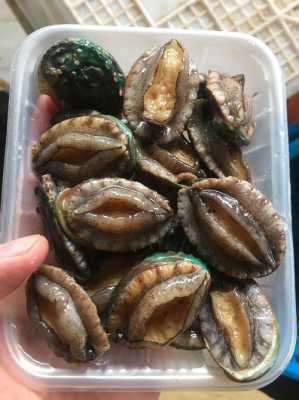 哪里鲍鱼最便宜（哪里鲍鱼最便宜又好吃）-第2张图片-厨房小当家