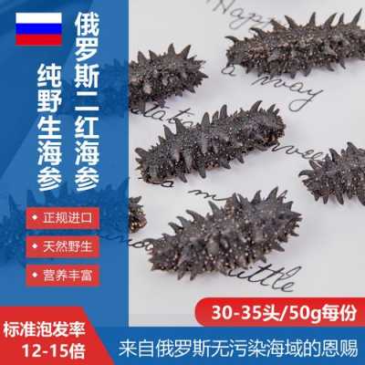 进口海参哪里买(俄罗斯进口海参安全吗)-第3张图片-厨房小当家 进口海参哪里买(俄罗斯进口海参安全吗)-第3张图片-厨房小当家