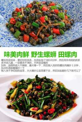 螺丝肉吃哪里(螺蛳肉的处理方法,螺蛳肉怎么处理干净好吃)-第3张图片-厨房小当家 螺丝肉吃哪里(螺蛳肉的处理方法,螺蛳肉怎么处理干净好吃)-第3张图片-厨房小当家