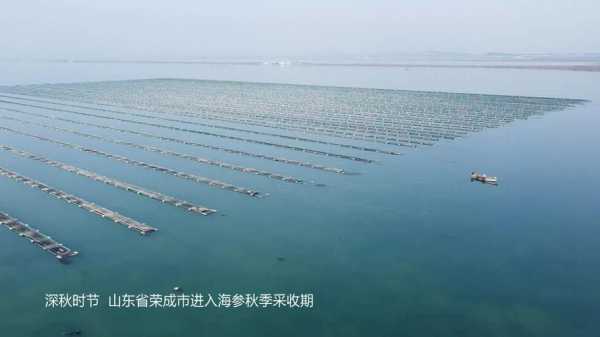 海参在哪里养殖(世界三大海参基地)-第2张图片-厨房小当家 海参在哪里养殖(世界三大海参基地)-第2张图片-厨房小当家