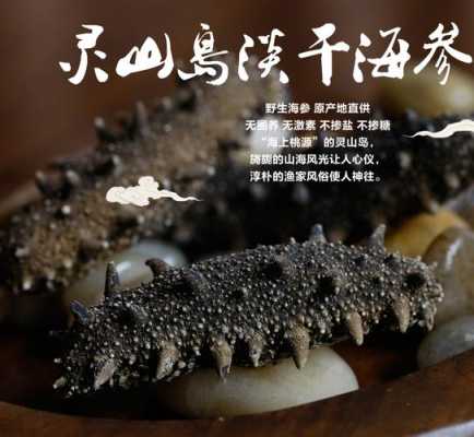 青岛海参哪家的最好,青岛哪里买海参好一点-第2张图片-厨房小当家 青岛海参哪家的最好,青岛哪里买海参好一点-第2张图片-厨房小当家