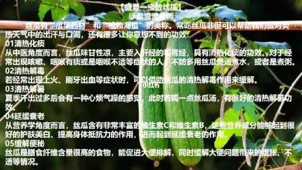 丝瓜哪里最有营养(丝瓜哪里最有营养价值)-第3张图片-厨房小当家 丝瓜哪里最有营养(丝瓜哪里最有营养价值)-第3张图片-厨房小当家