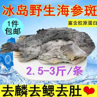 冰岛海参斑怎么做,金华哪里有卖海参的-第3张图片-厨房小当家 冰岛海参斑怎么做,金华哪里有卖海参的-第3张图片-厨房小当家