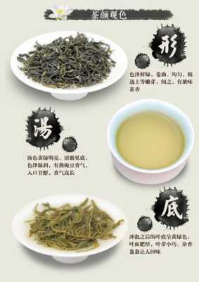 炒青茶哪里产的(碧螺春的产地)-第1张图片-厨房小当家 炒青茶哪里产的(碧螺春的产地)-第1张图片-厨房小当家