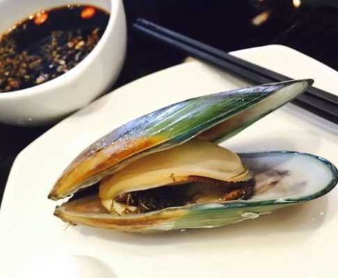 青口贝属于哪里(青口贝生长环境)-第3张图片-厨房小当家 青口贝属于哪里(青口贝生长环境)-第3张图片-厨房小当家