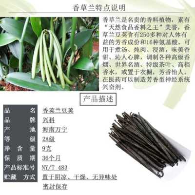 香草荚在哪里买(香草荚在哪里买的到)-第1张图片-厨房小当家 香草荚在哪里买(香草荚在哪里买的到)-第1张图片-厨房小当家