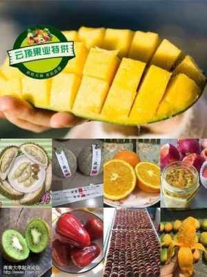 鲜果时间怎么样能干吗(如何邮寄水果)-第3张图片-厨房小当家 鲜果时间怎么样能干吗(如何邮寄水果)-第3张图片-厨房小当家