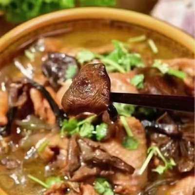 承德哪里出榛蘑菇最好,哪里的榛蘑好吃正宗-第2张图片-厨房小当家 承德哪里出榛蘑菇最好,哪里的榛蘑好吃正宗-第2张图片-厨房小当家