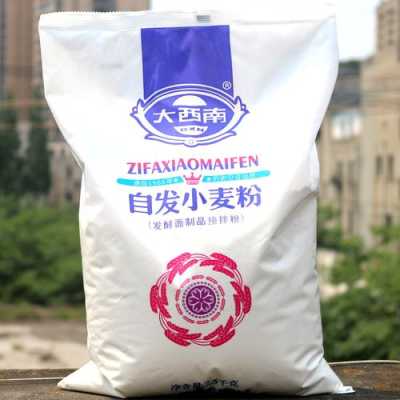 自发粉在哪里买(大西南自发粉怎么不发)-第3张图片-厨房小当家 自发粉在哪里买(大西南自发粉怎么不发)-第3张图片-厨房小当家