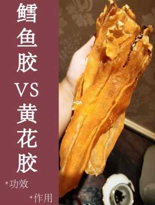 鳕鱼胶哪里产的(北海和鳕鱼胶哪个好)-第3张图片-厨房小当家 鳕鱼胶哪里产的(北海和鳕鱼胶哪个好)-第3张图片-厨房小当家