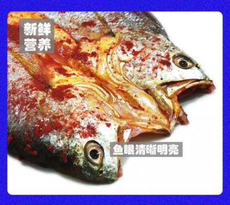 酒糟黄鱼哪里有卖(酒糟黄鱼哪里有卖的啊)-第3张图片-厨房小当家 酒糟黄鱼哪里有卖(酒糟黄鱼哪里有卖的啊)-第3张图片-厨房小当家