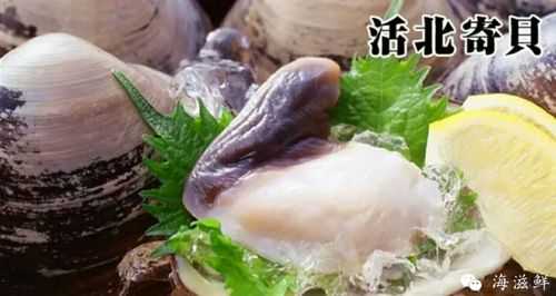 北极贝内部主要呈现什么颜色,北极贝内脏在哪里生长-第3张图片-厨房小当家 北极贝内部主要呈现什么颜色,北极贝内脏在哪里生长-第3张图片-厨房小当家