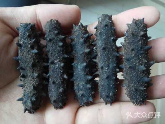 上海哪里买海参地址(上海卖海参)-第2张图片-厨房小当家 上海哪里买海参地址(上海卖海参)-第2张图片-厨房小当家