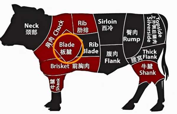 牛牡蛎肉是哪里(牛牡蛎肉是哪里的肉)-第1张图片-厨房小当家 牛牡蛎肉是哪里(牛牡蛎肉是哪里的肉)-第1张图片-厨房小当家