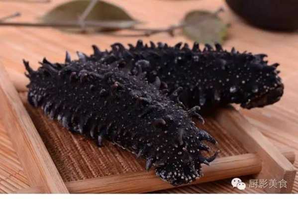 全世界海参产地最好的排名,中国哪里海参好吃-第2张图片-厨房小当家 全世界海参产地最好的排名,中国哪里海参好吃-第2张图片-厨房小当家
