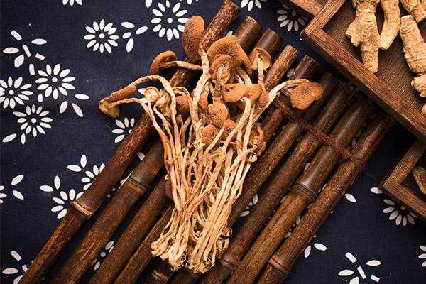 哪里茶树菇好吃(哪的茶树菇最正宗)-第1张图片-厨房小当家 哪里茶树菇好吃(哪的茶树菇最正宗)-第1张图片-厨房小当家