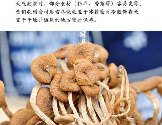 哪里茶树菇好吃(哪的茶树菇最正宗)-第3张图片-厨房小当家 哪里茶树菇好吃(哪的茶树菇最正宗)-第3张图片-厨房小当家