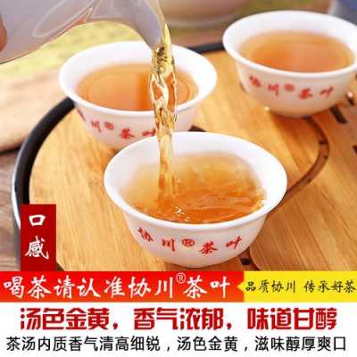 现在喝什么茶比较合适,茶茶是谁-第2张图片-厨房小当家 现在喝什么茶比较合适,茶茶是谁-第2张图片-厨房小当家