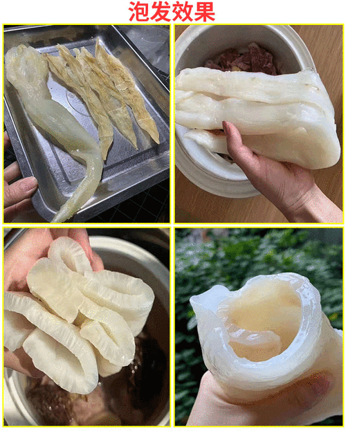 北海鱼胶哪里买(北海鱼胶有什么作用)-第1张图片-厨房小当家 北海鱼胶哪里买(北海鱼胶有什么作用)-第1张图片-厨房小当家