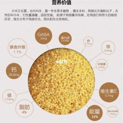 哪里小米好吃又营养(全国最好吃的小米排行)-第1张图片-厨房小当家 哪里小米好吃又营养(全国最好吃的小米排行)-第1张图片-厨房小当家
