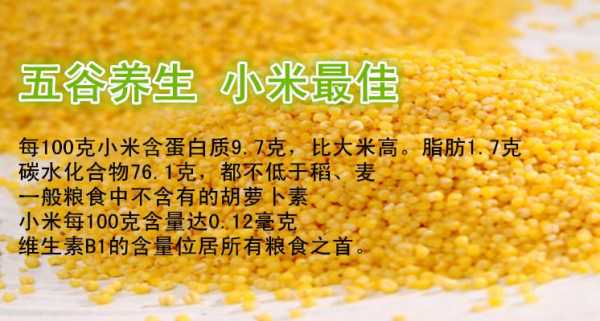 哪里小米好吃又营养(全国最好吃的小米排行)-第2张图片-厨房小当家 哪里小米好吃又营养(全国最好吃的小米排行)-第2张图片-厨房小当家