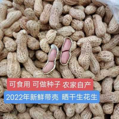 花生原产自哪里,花生吃的是哪里的特产-第3张图片-厨房小当家 花生原产自哪里,花生吃的是哪里的特产-第3张图片-厨房小当家