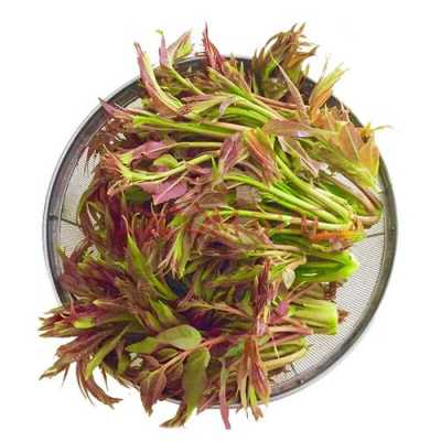 香椿菜哪里有卖(香椿菜保存方法)-第2张图片-厨房小当家 香椿菜哪里有卖(香椿菜保存方法)-第2张图片-厨房小当家