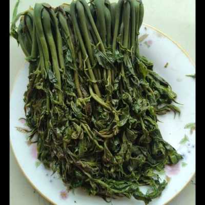 香椿菜哪里有卖(香椿菜保存方法)-第1张图片-厨房小当家 香椿菜哪里有卖(香椿菜保存方法)-第1张图片-厨房小当家