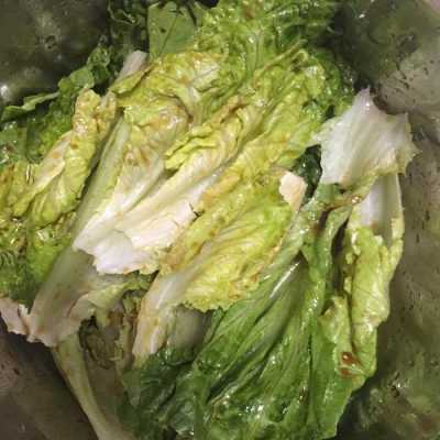 罗马生菜哪里有卖(罗马生菜最正宗的做法)-第2张图片-厨房小当家 罗马生菜哪里有卖(罗马生菜最正宗的做法)-第2张图片-厨房小当家