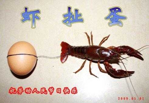 虾扯蛋模具哪里买(虾扯蛋模具哪里买)-第1张图片-厨房小当家 虾扯蛋模具哪里买(虾扯蛋模具哪里买)-第1张图片-厨房小当家