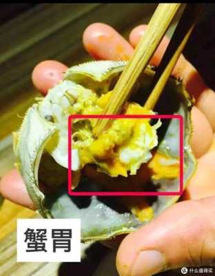吃螃蟹蟹黄在哪里(螃蟹蟹黄在哪里?)-第2张图片-厨房小当家 吃螃蟹蟹黄在哪里(螃蟹蟹黄在哪里?)-第2张图片-厨房小当家