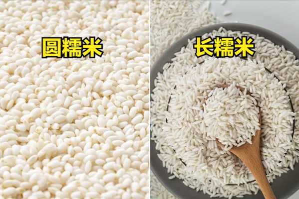 安徽糯米好还是东北糯米好,哪里的圆糯米最好吃-第2张图片-厨房小当家 安徽糯米好还是东北糯米好,哪里的圆糯米最好吃-第2张图片-厨房小当家