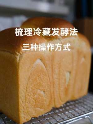 面包在哪里发酵(面包为什么要进行低温发酵?放冰箱里冷藏难道不影响发酵)-第1张图片-厨房小当家 面包在哪里发酵(面包为什么要进行低温发酵?放冰箱里冷藏难道不影响发酵)-第1张图片-厨房小当家