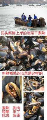 哪里有卖海虹干(海虹怎么晒干)-第3张图片-厨房小当家 哪里有卖海虹干(海虹怎么晒干)-第3张图片-厨房小当家