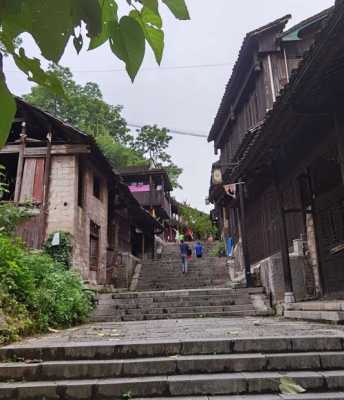 在萃茶师上班怎么样（茶峒古镇热吗）-第3张图片-厨房小当家