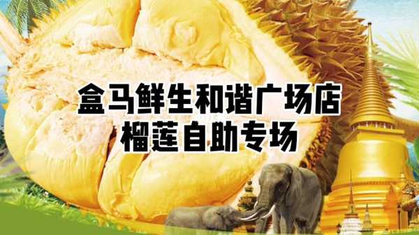 榴莲自助盒马哪个城市有,深圳哪里有榴莲鸡煲-第2张图片-厨房小当家