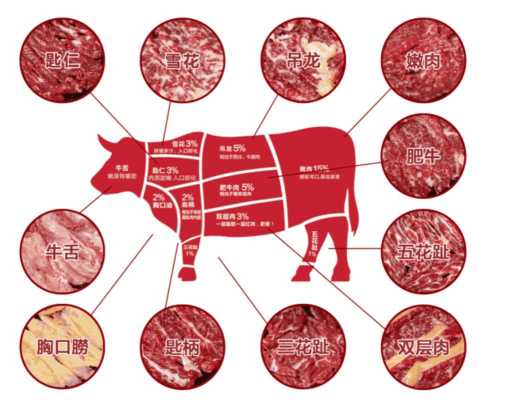 牛肉哪里比较好吃（牛肉哪个部位最好吃牛肉）-第2张图片-厨房小当家