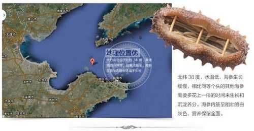 最好的海参产地在哪里(海参产地哪里比较好)-第1张图片-厨房小当家 最好的海参产地在哪里(海参产地哪里比较好)-第1张图片-厨房小当家