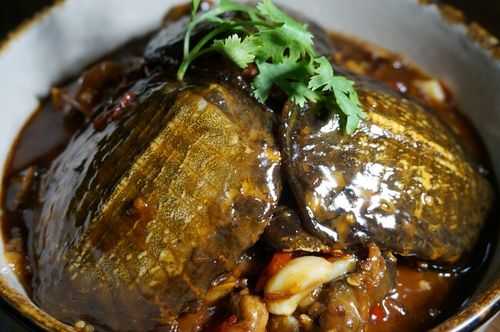 甲鱼仔是哪里的菜(甲鱼仔是什么)-第3张图片-厨房小当家 甲鱼仔是哪里的菜(甲鱼仔是什么)-第3张图片-厨房小当家
