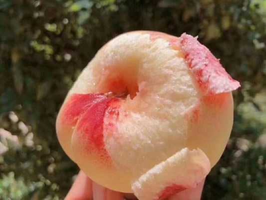 最好的桃子品种第一名,最好吃的桃子在哪里买-第1张图片-厨房小当家 最好的桃子品种第一名,最好吃的桃子在哪里买-第1张图片-厨房小当家