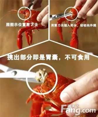 龙虾哪些部位能吃,小龙虾吃哪个地方-第1张图片-厨房小当家 龙虾哪些部位能吃,小龙虾吃哪个地方-第1张图片-厨房小当家