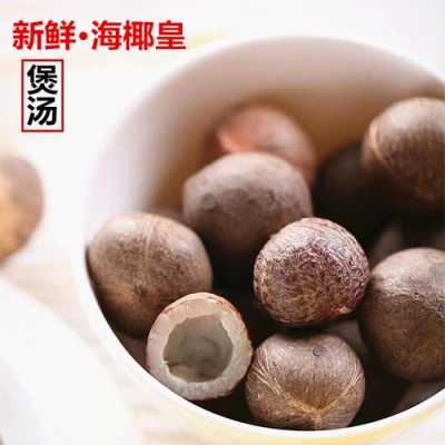 新鲜海底椰在哪里买(新鲜海底椰在哪里买得到)-第3张图片-厨房小当家 新鲜海底椰在哪里买(新鲜海底椰在哪里买得到)-第3张图片-厨房小当家