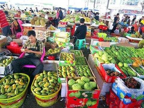 附近哪里有卖东莞特产(东莞市区人气最旺的五大农贸市场)-第1张图片-厨房小当家 附近哪里有卖东莞特产(东莞市区人气最旺的五大农贸市场)-第1张图片-厨房小当家