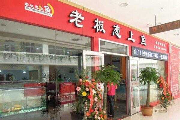 老板恋上鱼工作怎么样(老板恋上鱼上班怎么样)-第3张图片-厨房小当家 老板恋上鱼工作怎么样(老板恋上鱼上班怎么样)-第3张图片-厨房小当家