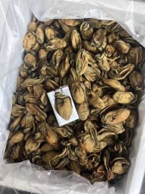 生蚝干哪里买最好,生蚝干哪里的好吃啊-第2张图片-厨房小当家 生蚝干哪里买最好,生蚝干哪里的好吃啊-第2张图片-厨房小当家