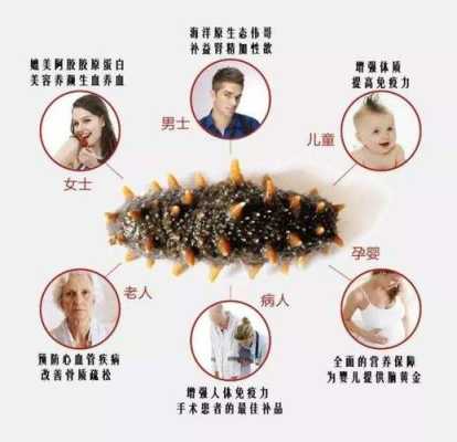 海参哪里不可以吃（海参哪里不可以吃）-第1张图片-厨房小当家