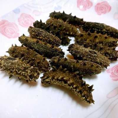哪里的淡干海参好(淡干海参哪家好)-第2张图片-厨房小当家 哪里的淡干海参好(淡干海参哪家好)-第2张图片-厨房小当家